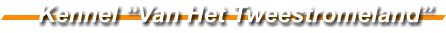 Kennel “Van Het Tweestromeland”